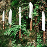 Ніж для окорока Arcos Nordika 250 мм | Професійний, нержавіюча сталь Nitrum, ручка з дерева | BU HORECA