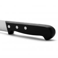 Ніж для нарізки риби Arcos Universal 300 мм | Професійний, гнучкий, нержавіюча сталь, чорний | BU HORECA