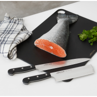 Ніж Yanagiba Arcos Universal 240 мм | Професійний, нержавіюча сталь, чорний | BU HORECA