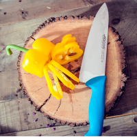 Кухарський ніж Arcos 2900 200 мм | Професійний, нержавіюча сталь, синій | BU HORECA