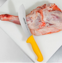 Ніж для підрізання шкури Arcos 2900 190 мм | Професійний, нержавіюча сталь, жовтий | BU HORECA