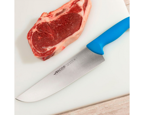 Ніж м'ясника Arcos 2900 250 мм | Професійний, обробний, нержавіюча сталь, синій | BU HORECA