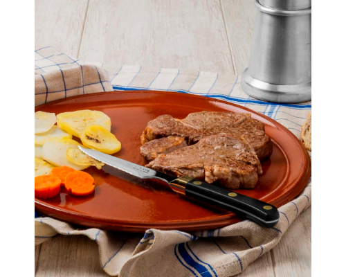 Ніж для стейка Arcos 115 мм | Професійний, нержавіюча сталь, чорний | BU HORECA