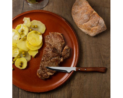 Набір стейкових ножів Arcos Forest 6 пр. | Нержавіюча сталь, дерев'яна ручка | BU HORECA