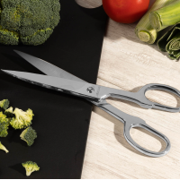 Кухонні ножиці професійні Arcos 200 мм | Міцна нержавіюча сталь | BU HORECA