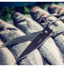 Ножиці кухонні професійні для риби 200 мм | Міцна нержавіюча сталь | BU HORECA