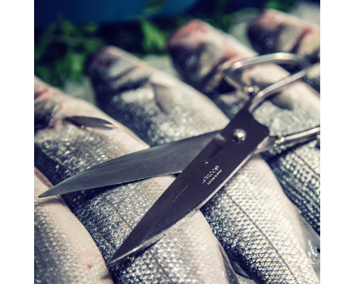 Ножиці кухонні професійні для риби 200 мм | Міцна нержавіюча сталь | BU HORECA