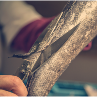 Кухонні ножиці для риби Arcos 240 мм | Професійні, нержавіюча сталь | BU HORECA