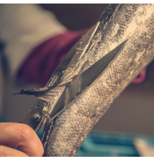 Кухонні ножиці для риби Arcos 240 мм | Професійні, нержавіюча сталь | BU HORECA