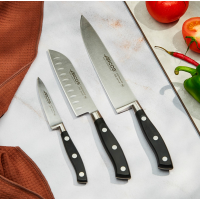 Набір кухонних ножів Arcos Riviera 3 предмети | Кована нержавіюча сталь | BU HORECA