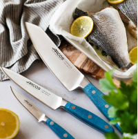 Набір кухонних ножів Arcos Brooklyn 3 предмети | Кований, нержавіюча сталь | BU HORECA